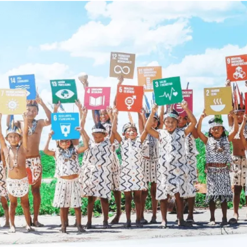 【專欄】陳惠萍：當綠能遇上公益，一場再生能源與永續發展的美好之戀